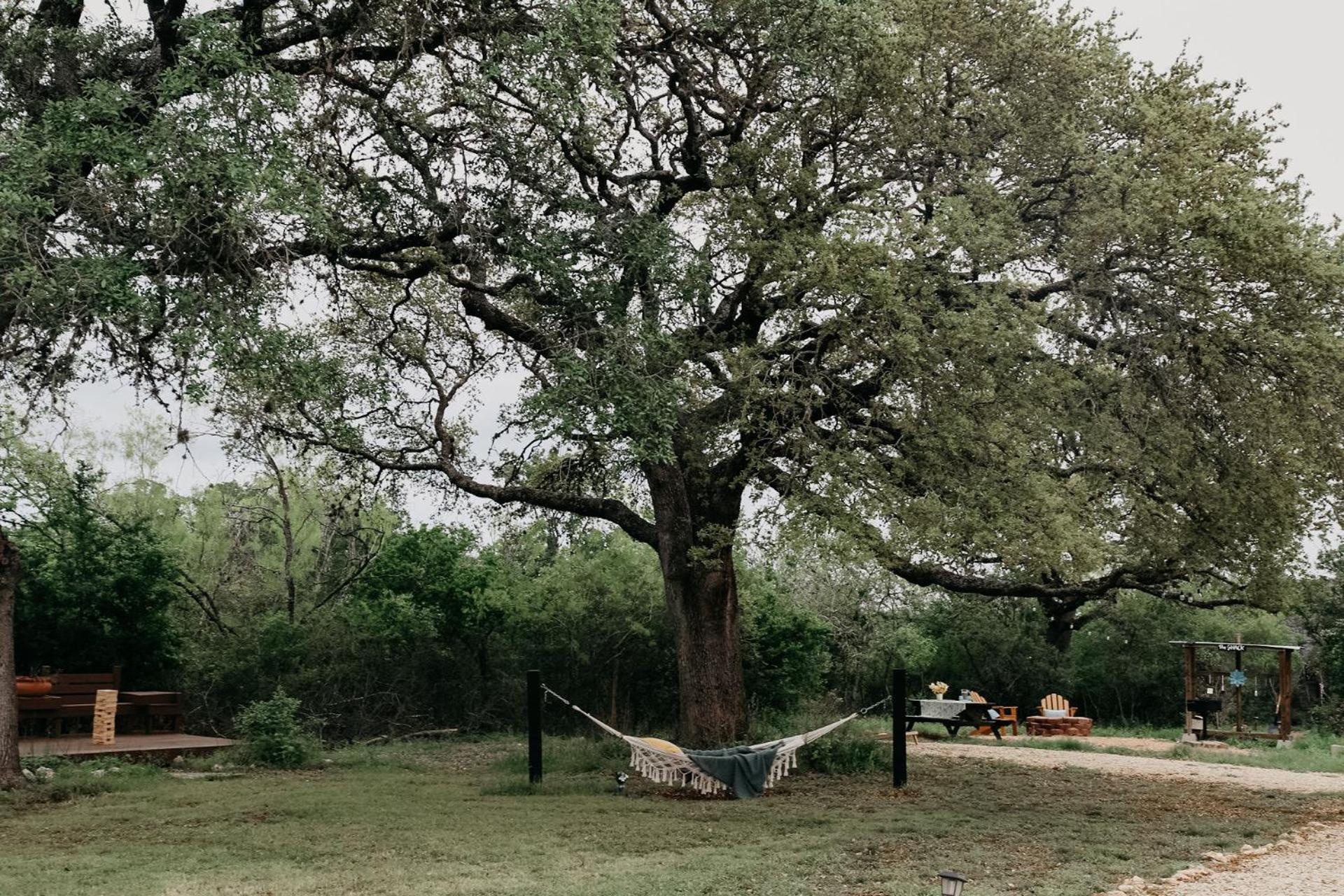 The Maverick: A-Frame W/ Hammock And Tree Top View New Braunfels Extérieur photo